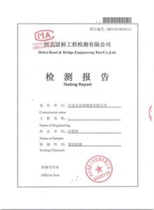 大同公司检测报告